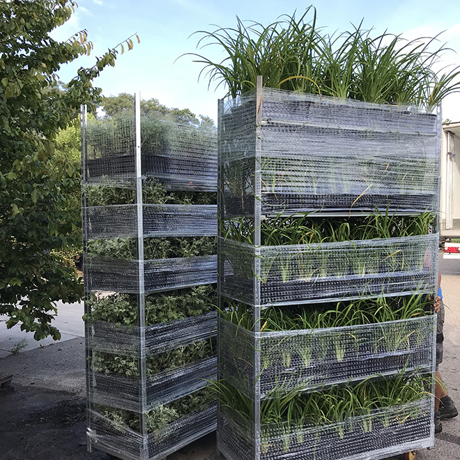 Trolleys loaded with plants, wrapped for organized transport.